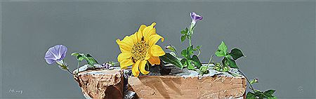 Flower Blooms at Noon
