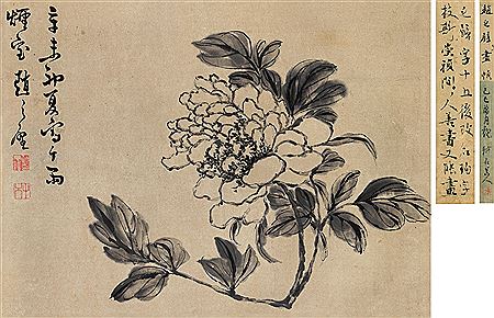 Peony