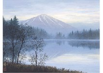 Calm Morning