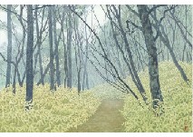 Forest Road by Yukio Yasui - Auction record, sale price, and art valuation. Compare with similar artists and explore comparable artworks.