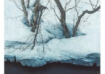 Snow Landscape