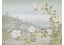 Flowering camellia