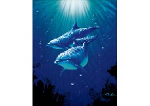 Dolphin(original) by Christian Lassen - Auction record, sale price, and art valuation. Compare with similar artists and explore comparable artworks.