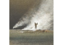 Burnt field