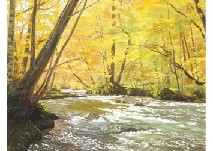 Okuirize with Yellow Leaves