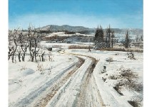 Winter Field