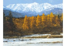 Pine tree forests and Shirauma mountain range