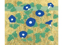 Morning Glory