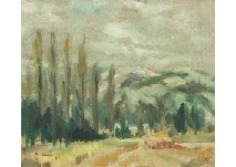Landscape in Mountain