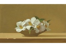 White Flower