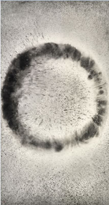 Supernova 1