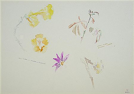 Sem título by Jaime Silva - Auction record, sale price, and art valuation. Compare with similar artists and explore comparable artworks.