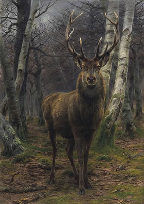 Le Roi de la forêt by Rosa Marie (Rosalie) Bonheur - Auction record, sale price, and art valuation. Compare with similar artists and explore comparable artworks.