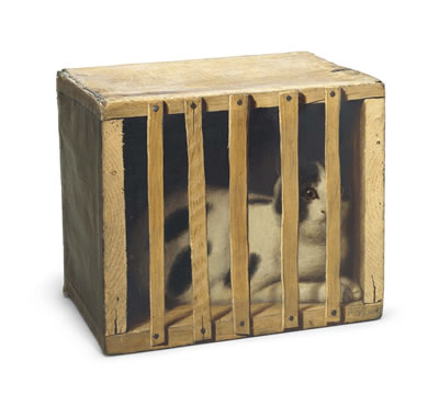 Cat in a Crate
