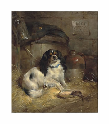 A Cavalier King Charles spaniel