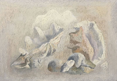 Still life with shells