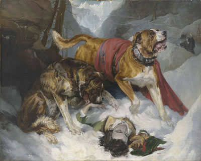 Alpine Mastiffs Reanimating a Distressed Traveller