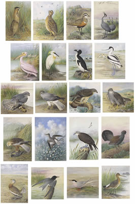 Sample artwork by Hendrik Gronvold (1858 - 1940), known for painting - View similar artists and auction records