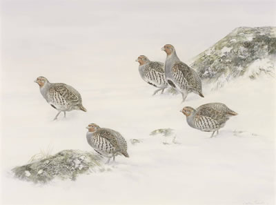 Sample artwork by Jonathan Sainsbury (Born 1951), known for painting - View similar artists and auction records