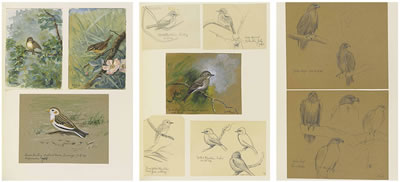 Sample artwork by George Morrison Reid Henry (1891 - 1983), known for painting - View similar artists and auction records