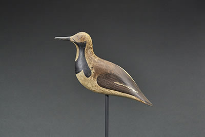 Ruddy Turnstone by John McAnney - Auction record, sale price, and art valuation. Compare with similar artists and explore comparable artworks.