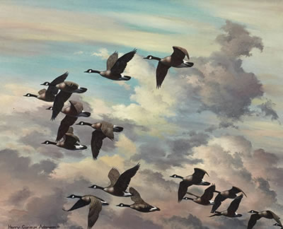 Canada Geese