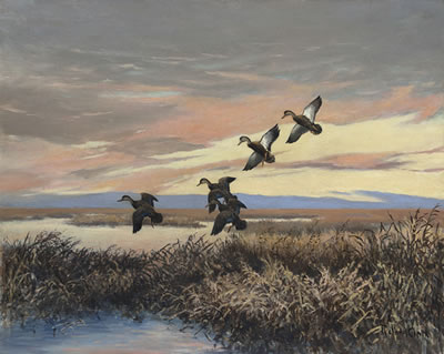 Sunset - Black Ducks