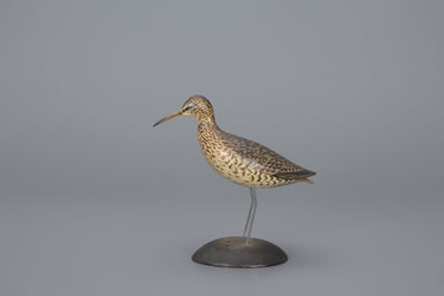 Miniature Curlew