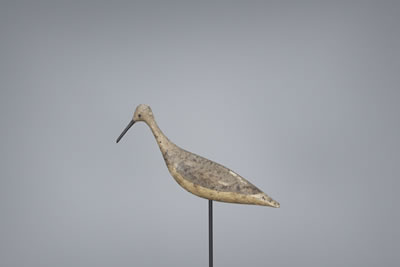 Early Yellowlegs