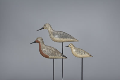 Shorebird Trio