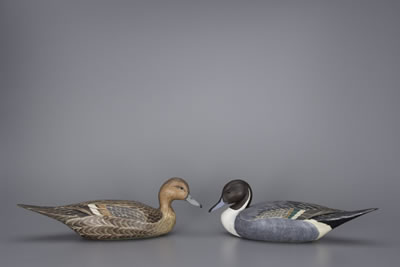 Pintail Pair