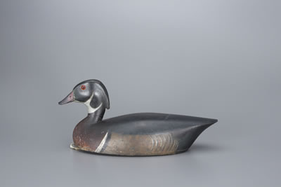 Wood Duck Drake
