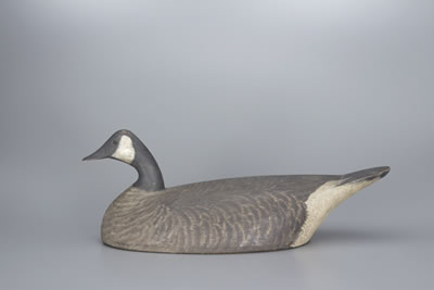 Canada Goose