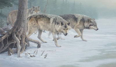 Eyes of the North (1992)