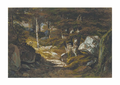 Vue dans la forêt de Fontainebleau