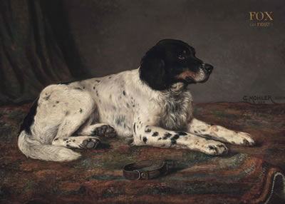 Pierre