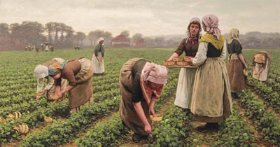 The strawberry pickers