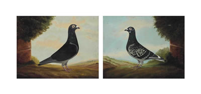 Falcon Leader; and Little Dixie (2)