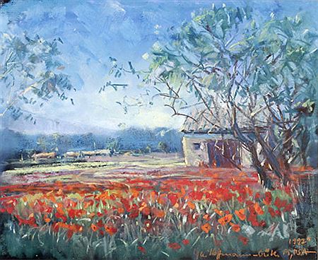 Poppy field
