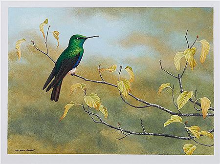 Sample artwork by Norman Arlott (Born 1947), known for painting - View similar artists and auction records