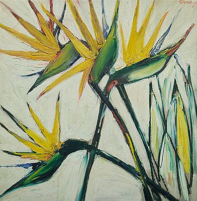 Birds of Paradise Flowers