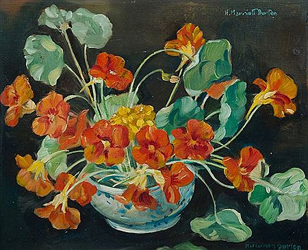 Nasturtiums