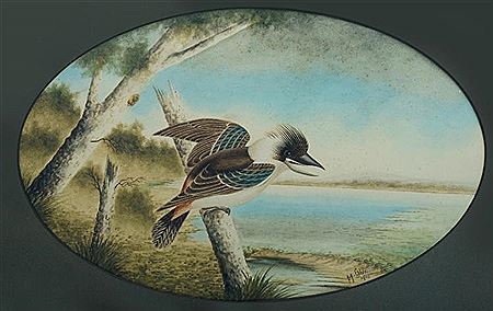Kookaburra in a River Landscape