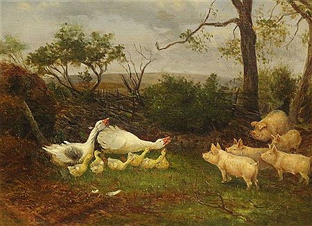Confrontation between Geese and Piglets