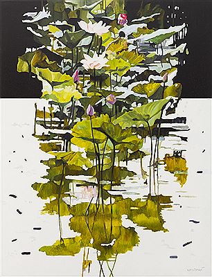 Water-lily