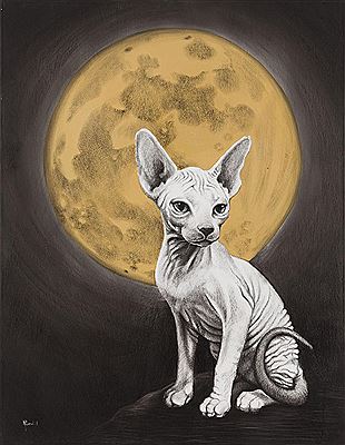 Sphynx