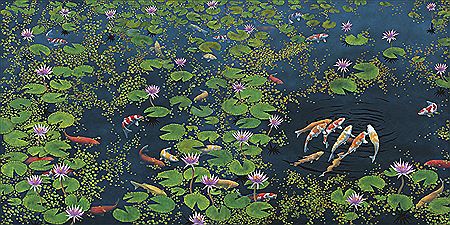 RIDDLE OF THE KOI (diptych)
