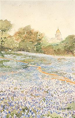 Bluebonnets and Texas Capital