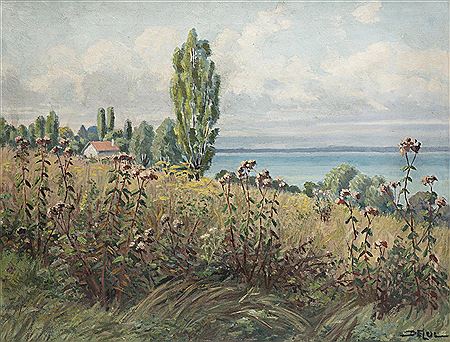 "Les Eupatoires à Chens" (près d'Hermance)