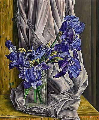 Les iris